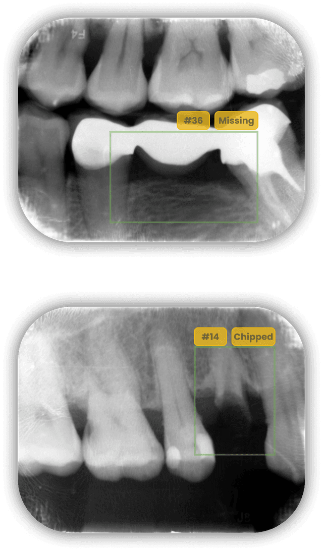 Basic oral diagnostic image